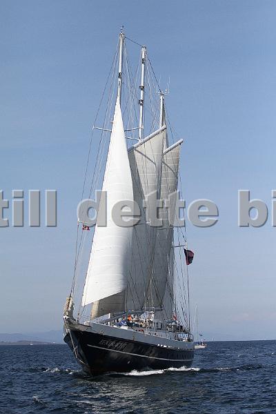 TSR2011_2 064.JPG
